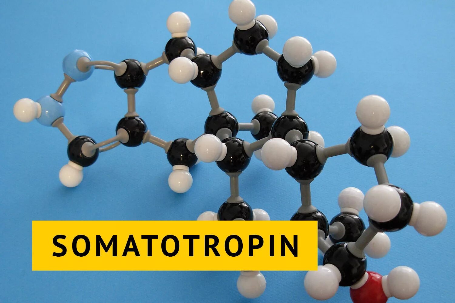 Соматотропин гормон. Соматотропин гормон роста. Гормон роста молекула. Гормон роста формула. Гормон роста белок