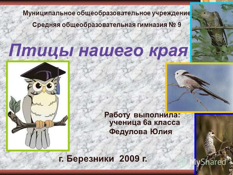 птицы нашего края презентация