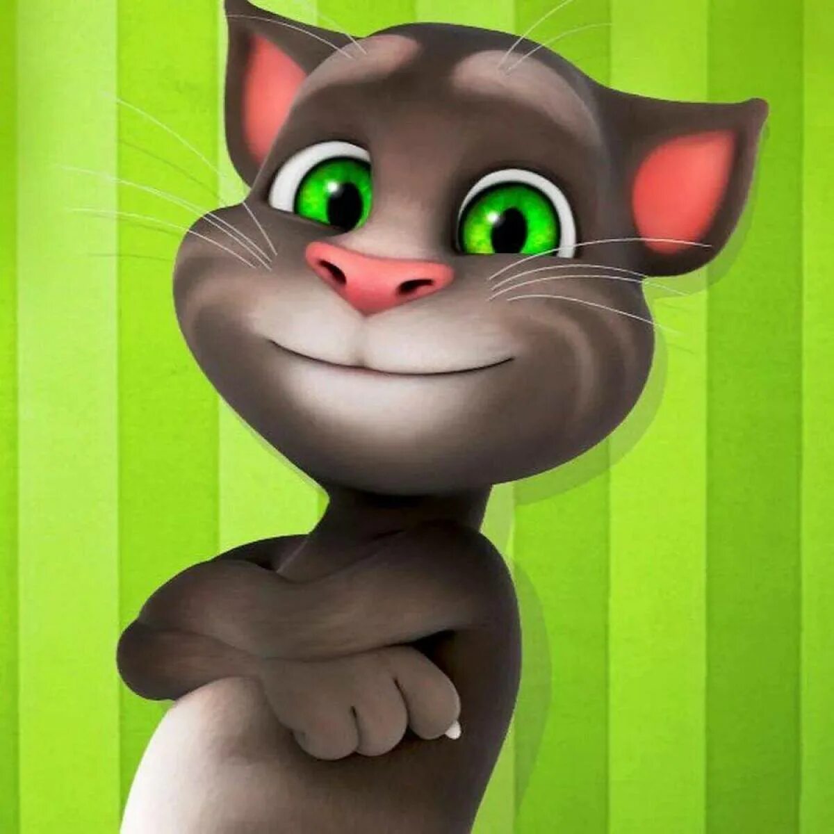 Игру про том друзья. Talking Tom. Том и его друзья. Talking Tom и его друзья. Игра talking Tom friends Джинджер.