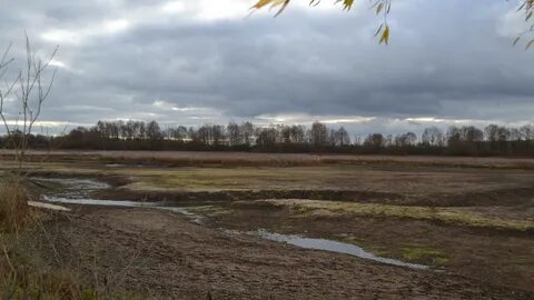 Село житово рязанская область