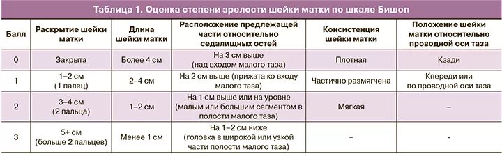 Когда можно заниматься сексом после родов