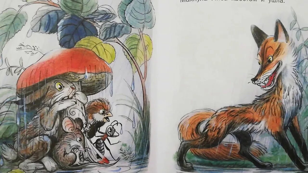 Под грибочком