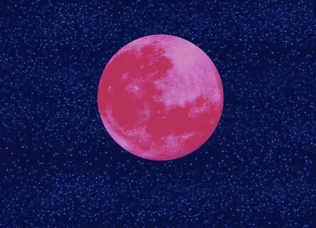 Pink moon