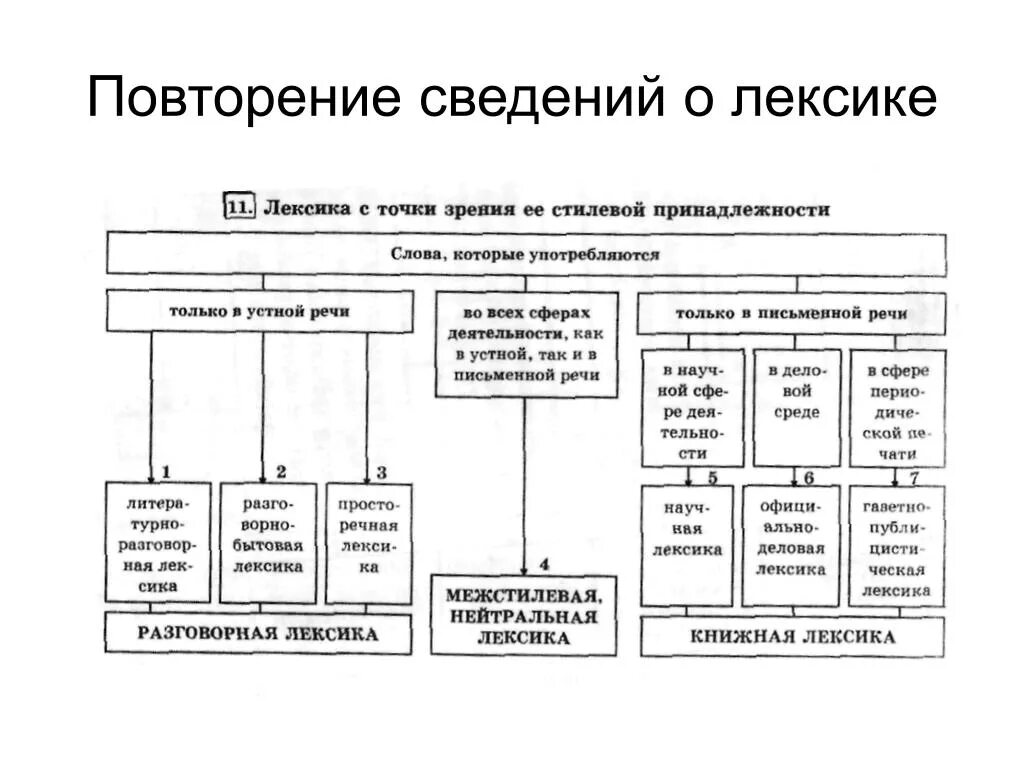 Таблица лексика современного русского языка. Лексика с точки зрения стилевой принадлежности. Лексика с точки зрения таблица. Лексика схема. Схемы лексики