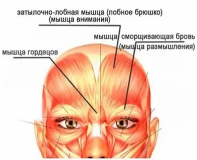 Почему болит лоб между бровями