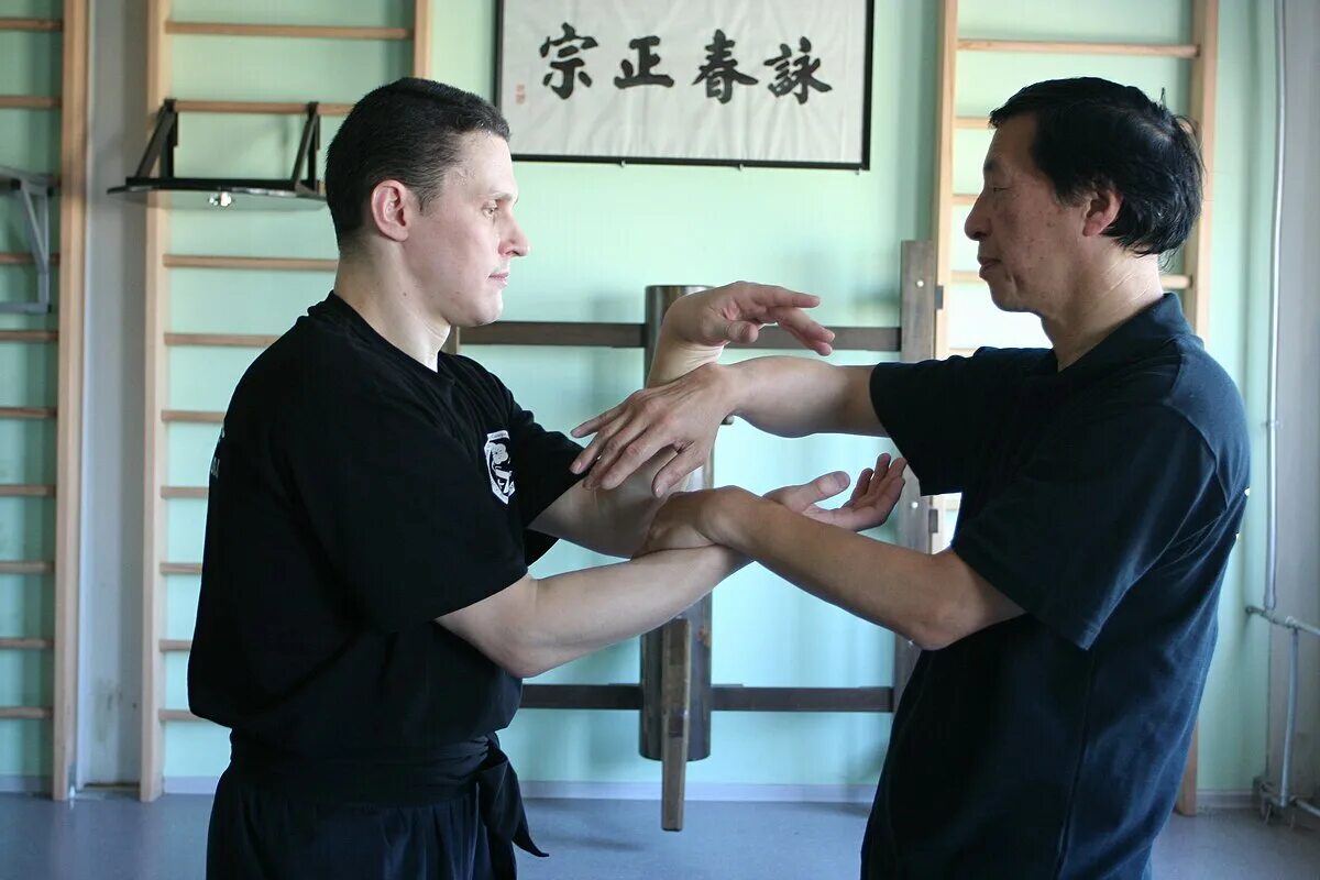 Стиль винь чунь. Боевые искусства будущего 70. Шаолинь монахи бойцы. Синъицюань. Чи сао вин чун.