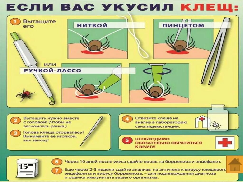 Выдернуть нитки. Приспособление удалить клеща. Приспособление вытащить клеща. Лассо для вытаскивания клещей.