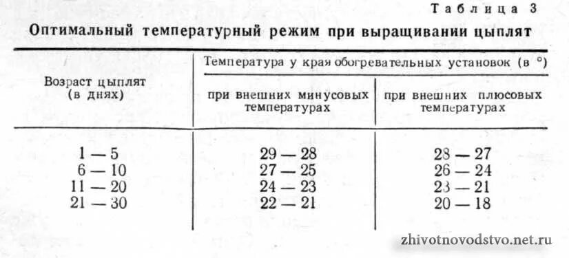 Температура курицы несушки. Температурный режим содержания цыплят бройлеров таблица. Тепловой режим для цыплят бройлеров. Температурный график выращивания бройлеров. Температура содержания бройлеров температурный режим.