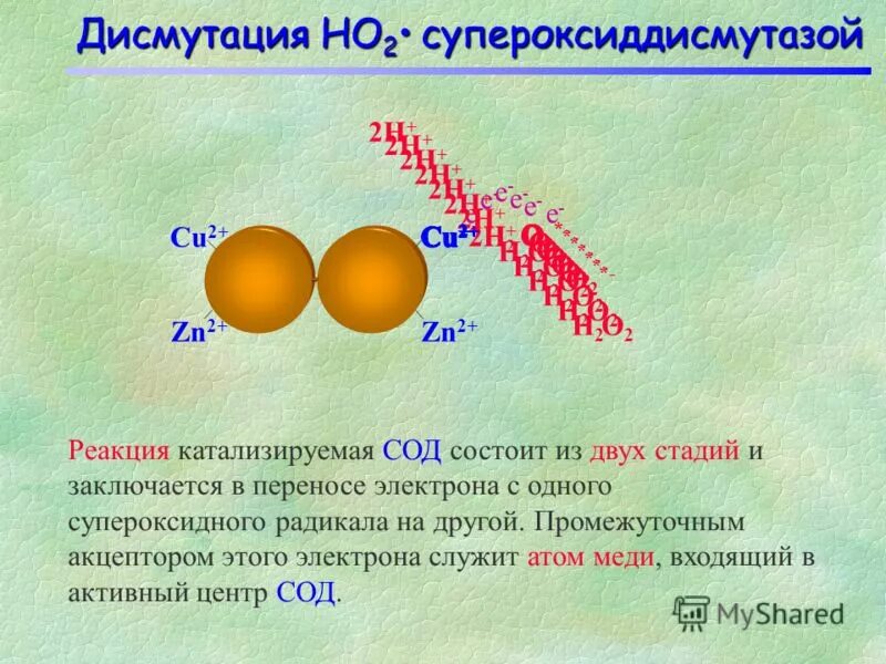 Супероксидный радикал. Дисмутация реакция. Реакция катализируемая супероксиддисмутазой. 1 Реакция супероксиддисмутазы. Реакция дисмутации формальдегида.