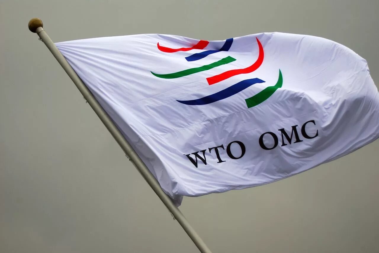 Вто оон. Всемирная торговая организация (ВТО). ВТО эмблема. ВТО флаг.