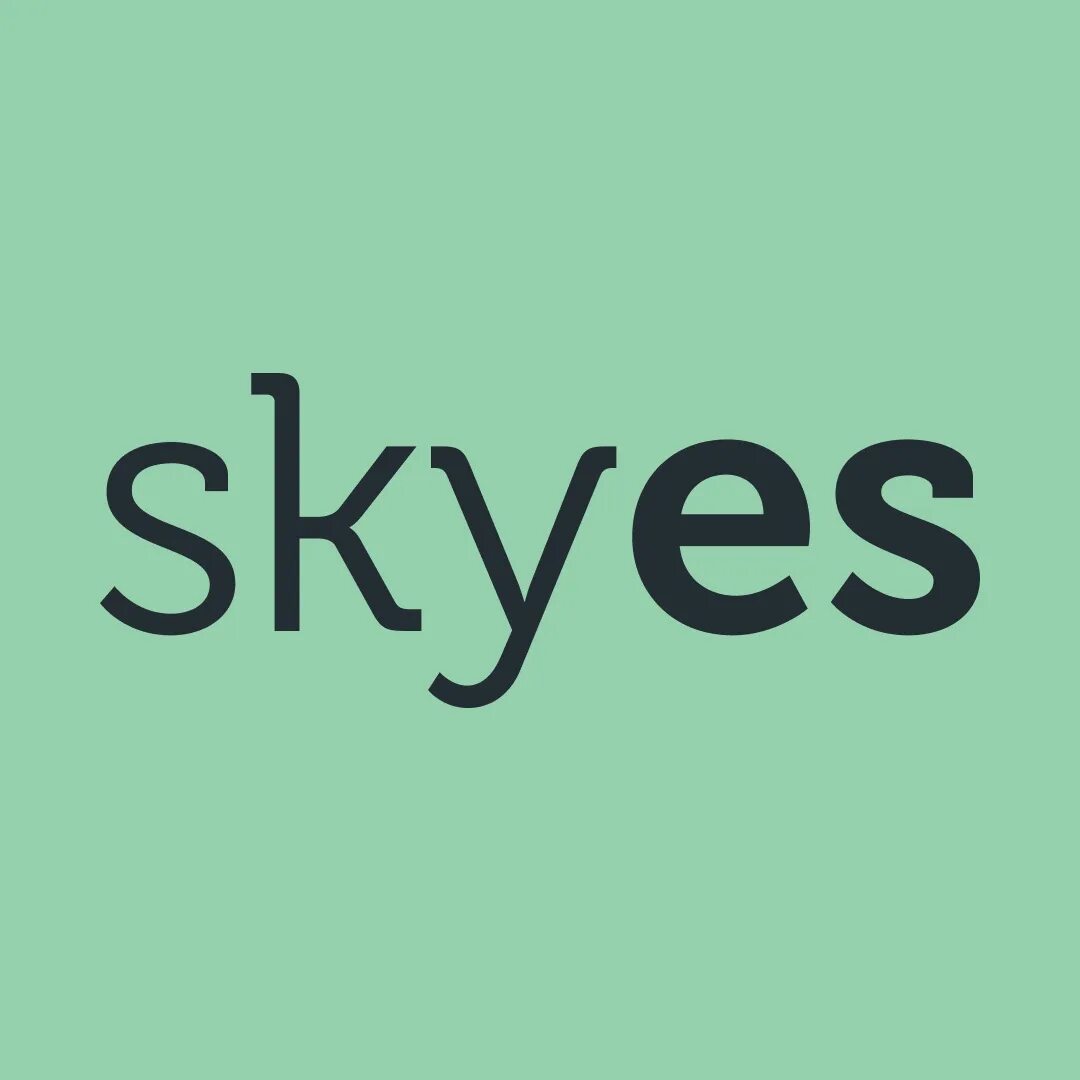 Skies school. Логотип горного клуба. Geo sky school georgia. Палитра skyeng. Skies school.