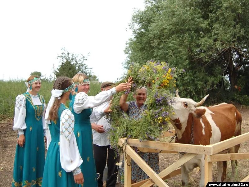 Погода кадниково алтайский край. Кадниково Мамонтовский район Алтайский край. Село Кадниково Мамонтовский район. Праздник корова. Народный праздник корова.