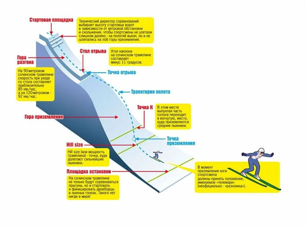 Высота трамплина для прыжков на лыжах. Ширина лыж для прыжков с трамплина. Прыжки с трамплина на лыжах максимальная высота. Классификация трамплинов для прыжков на лыжах. В какой стадии полета тело прыгуна