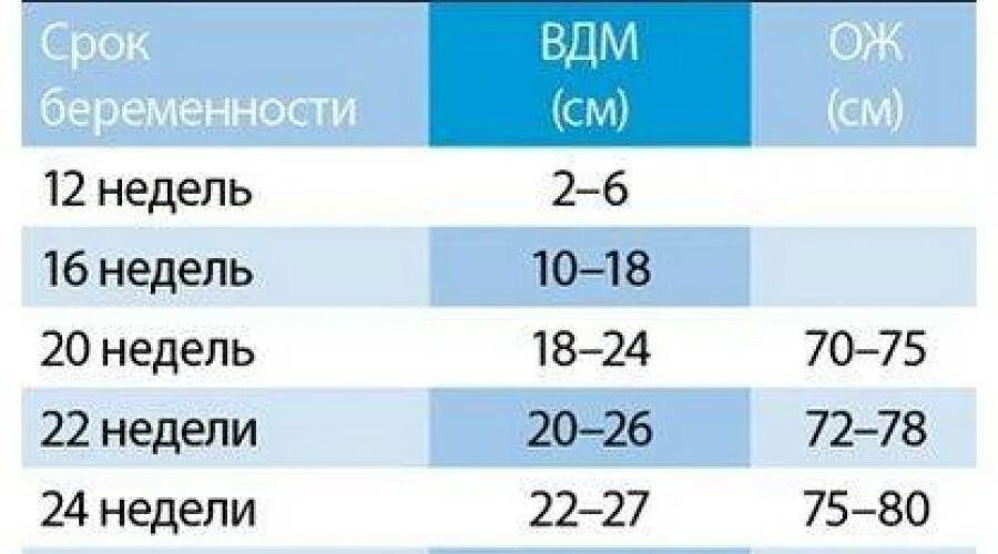 38 месяцев это сколько. Окружность живота на 34 неделе беременности норма таблица. Нормы размера окружности живота при беременности. Ож норма по неделям. Окружность живота по неделям беременности.