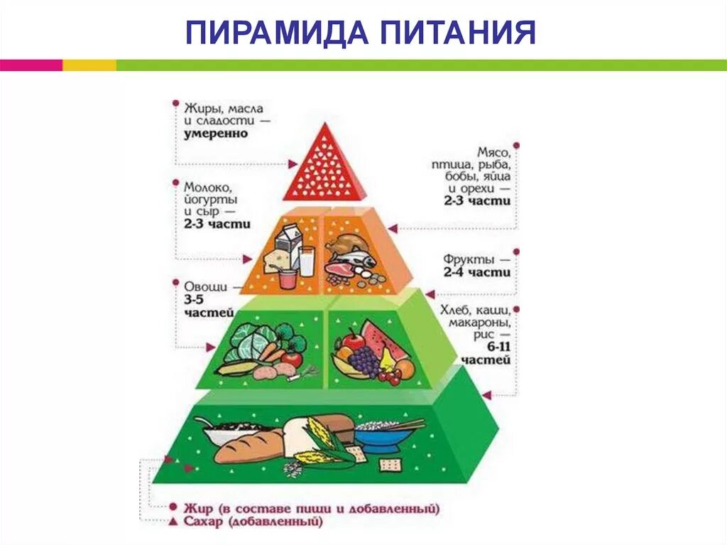 Обучающая программа по вопросам здорового питания. Пирамида правильного питания школьника. Пирамида рационального питания. Правила здорового питания. Правильное питание начальная школа.