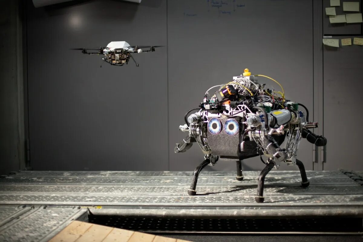 Необычные роботы. Дроны роботы. Летающий робот. Шагающие роботы. Flying robots