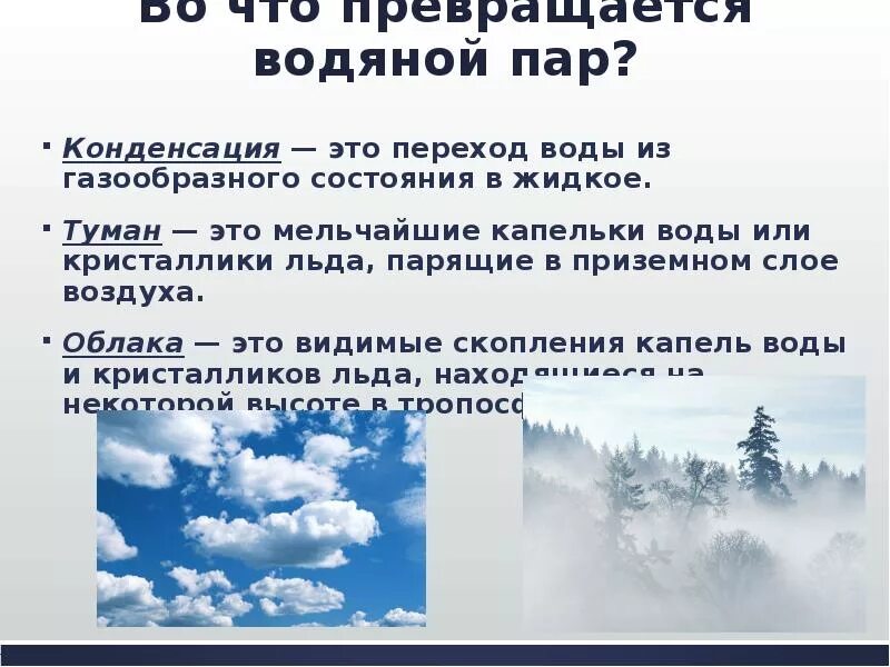 Туман какая влажность воздуха. Водяной пар в атмосфере. Воды и водяного пара в атмосфере. Конспект влага в атмосфере. Водяной пар в атмосфере облака.