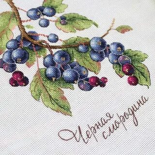 Смородина 15