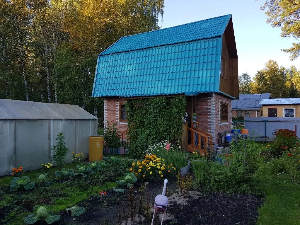 Плотниково Новосибирская область. Дача Плотниково. СНТ Путеец Новосибирск Плотниково. Дачи СНТ изумруд НСО. Купить дачу в плотниково