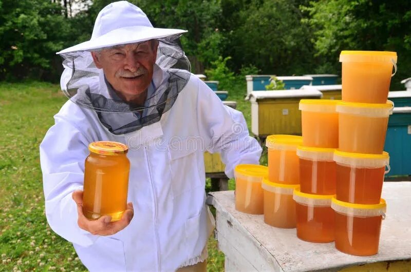 Пасечник с медом. Мед пасека. Руки пчеловода. Шапка пчеловода. Мало меда на пасеке