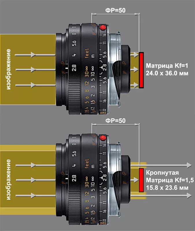 Разрешение объектива с матрицей. Матрица фотокамеры. Полнокадровый объектив на кропнутый фотоаппарат. Кроп объектив. Матрица фотоаппарата.