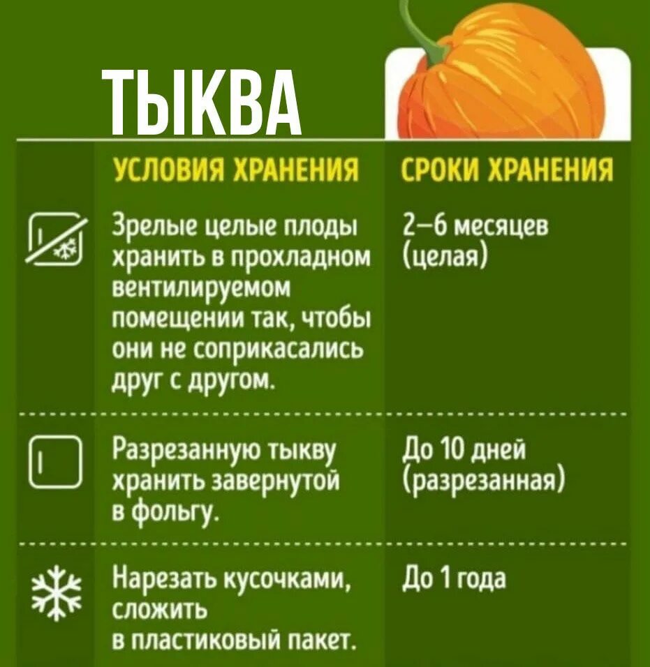 Тыква долго хранится. Срок хранения семян тыквы. Сколько хранится тыква срок годности. Срок хранения замороженной тыквы. Можно кормящим тыкву