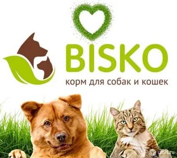 Корма оптом кошки собаки