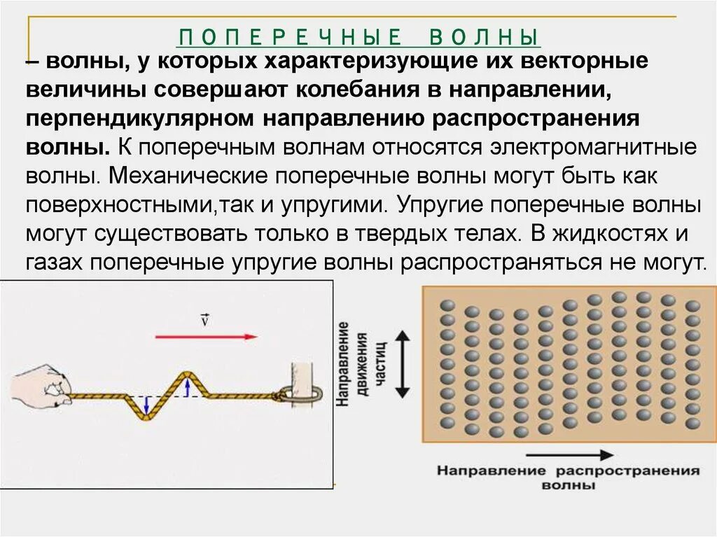 Каких направлениях совершаются колебания в продольной волне. ЭМВ поперечная волна. Поперечные механические волны. Поперечный. Продольные механические волны.