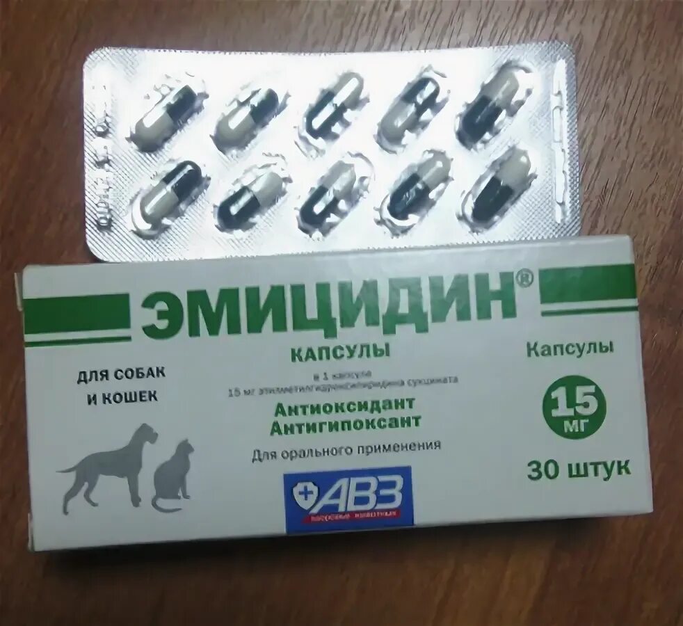 Эмицидин для собак. Эмицидин 50мг. эмицидин капсулы. успокоительные капсулы для кошек.