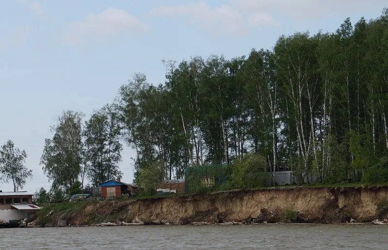 Заброшенное водохранилище в Бердске ул. Береговая. Берега Новосибирского водохранилища. Шумской кордон Новосибирского водохранилища. Переработка берегов водохранилищ.