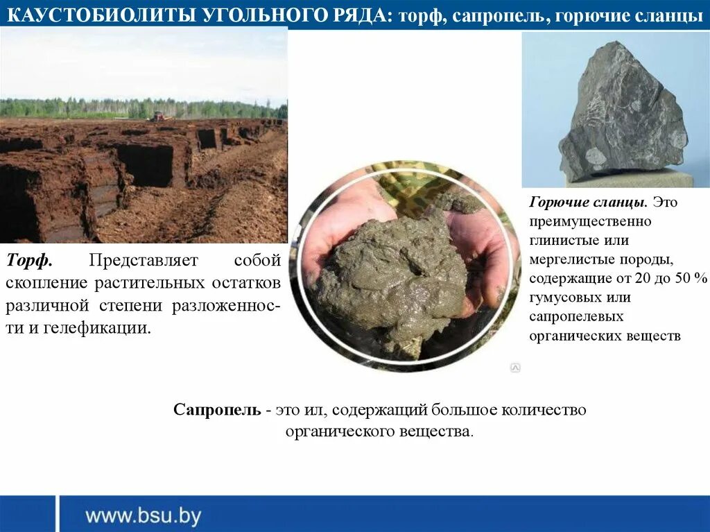 Что содержится в торфе