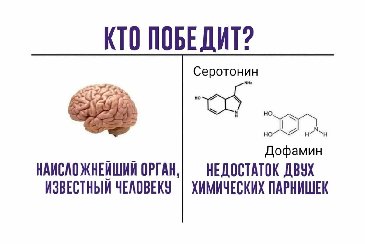 Серотонин и дофамин. Гормоны дофамин серотонин. Серотонин Мем. Дофамина нет. Эндорфины мозга