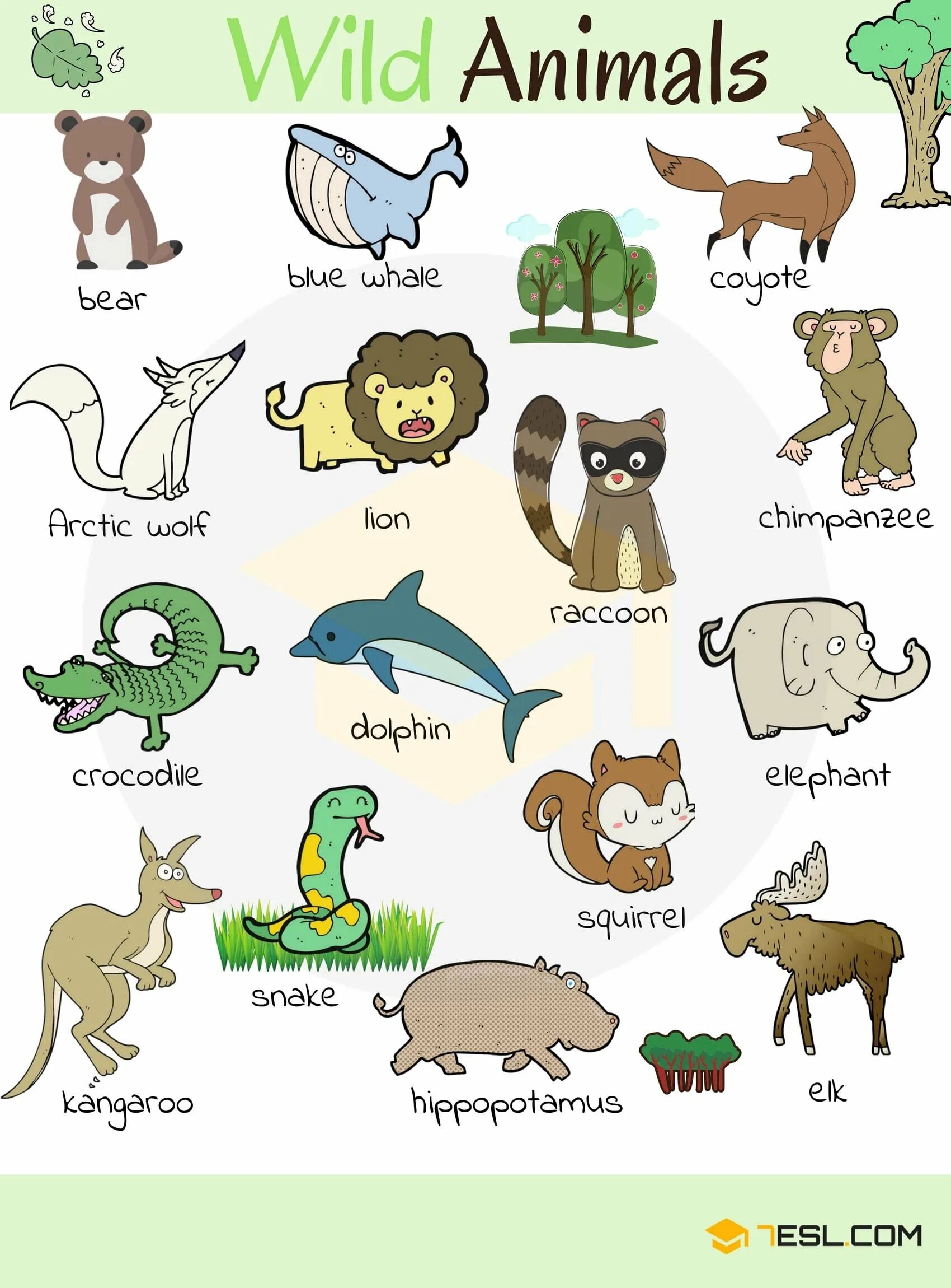 Animals translate