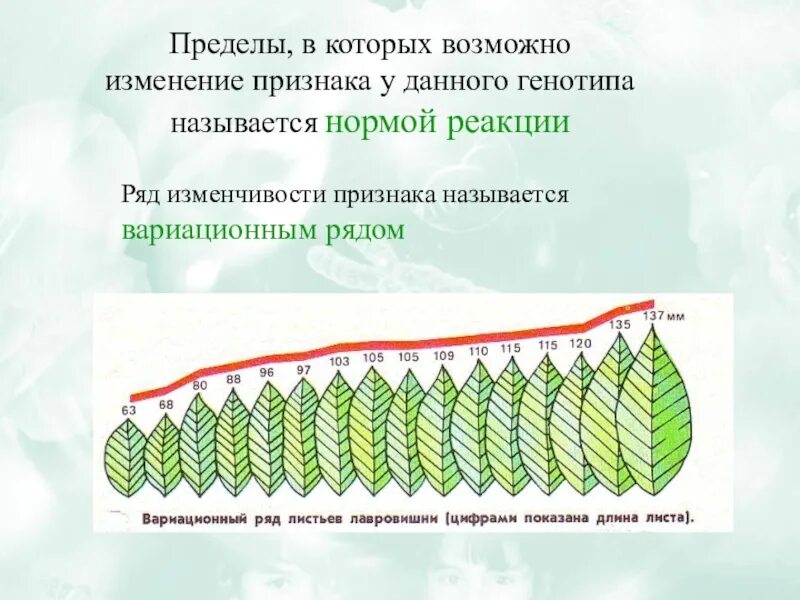 1 изменение в пределах нормы реакции. Пределы модификационной изменчивости признака. Пределы вариационной изменчивости признака. Онтогенетическая изменчивость. Географическая изменчивость примеры.