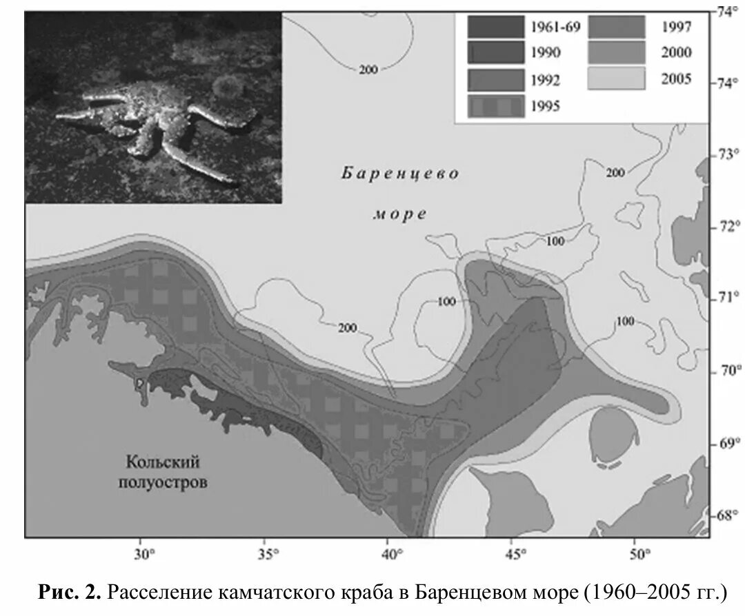 Камчатский расселение. Ареал обитания Камчатского краба. Камчатский краб ареал. Ареал Камчатского краба Баренцево море. Миграция Камчатского краба.