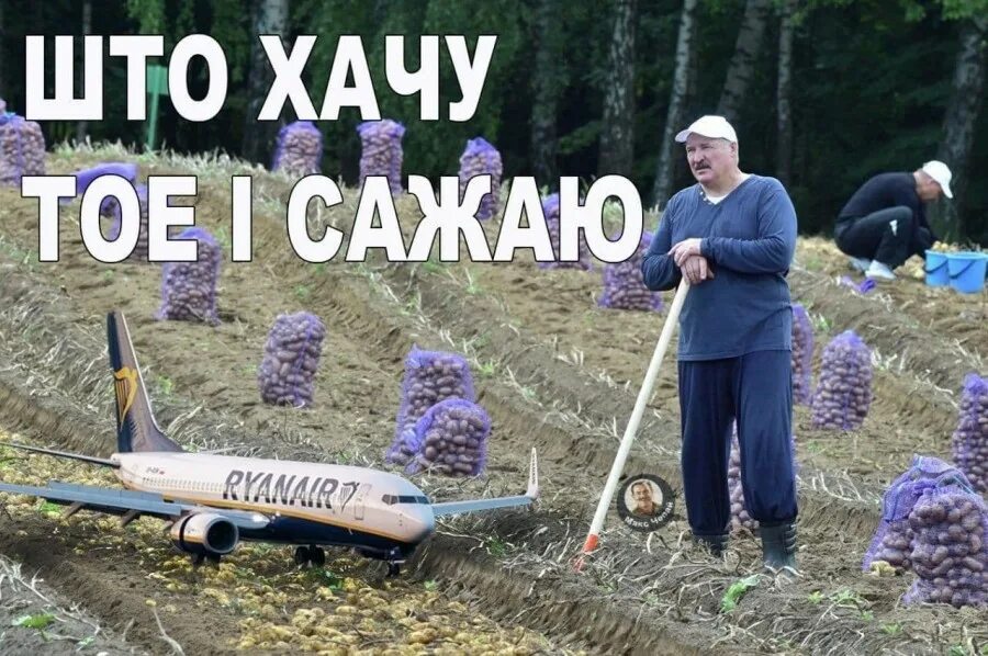 А то и сажать