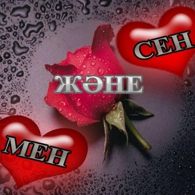 Сен менің адамымсын. Жаным надпись. Жаным картинки. Мен Сены жаксы корем. Жаным картинки с надписью.