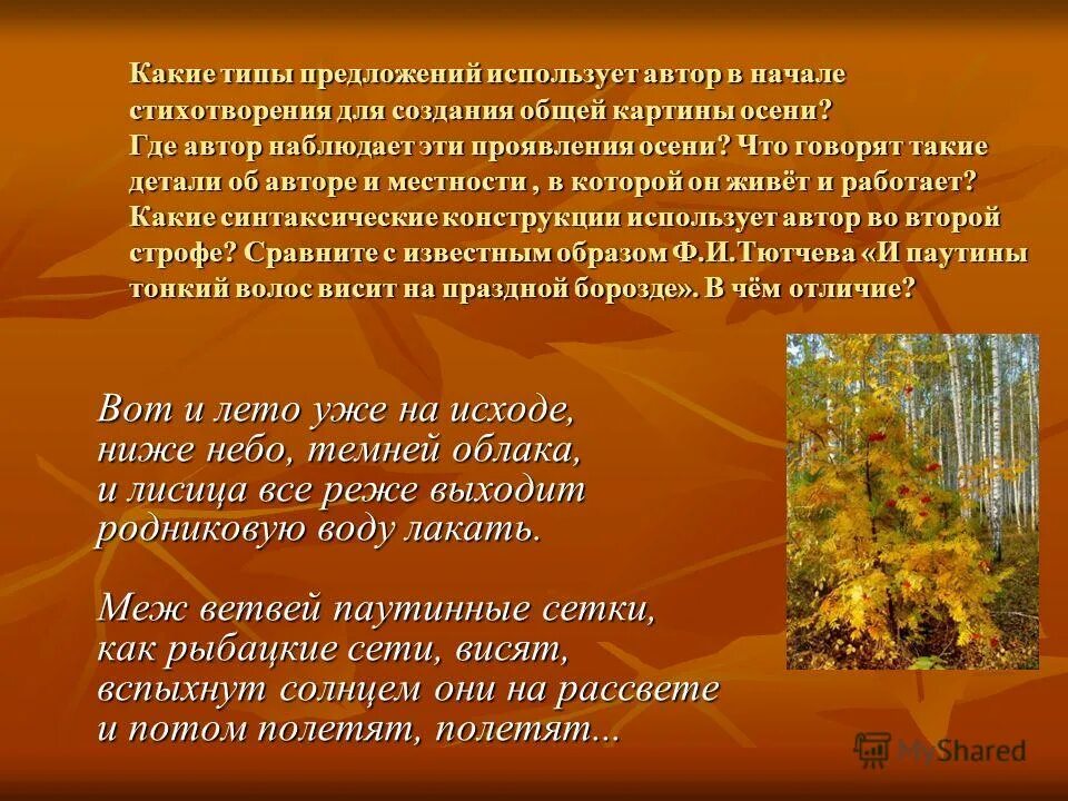 Красивые предложения про осень. 3 Красивых предложения про осень. Красивые предложения про осенний лес. Анализ стихотворения осень. Что автор подметил наблюдая за стрижами