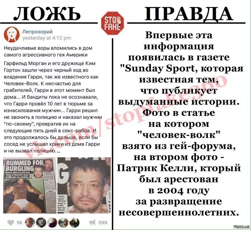 Гарри волк и грабители фото