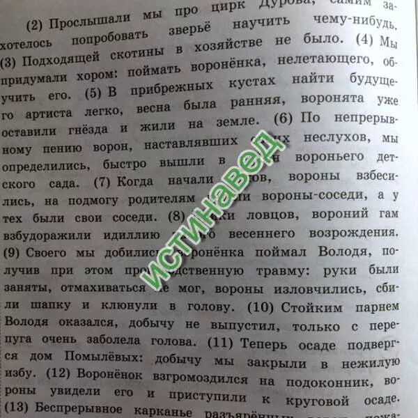 Гнездо что хотел сказать автор читателю. Что хотел сказать Автор определи и запиши основную мысль текста. Что хотел сказать Автор. Что хотел рассказать Автор о клене, основная мысль текста. Текст синичка необыкновенная что хотел сказать Автор читателю.