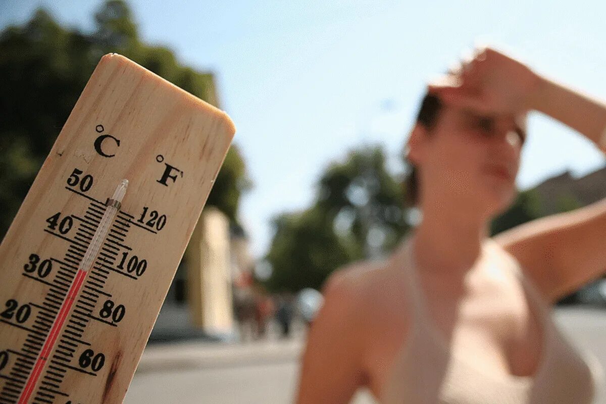 Максимальная жара в Шымкенте. Обещали+ 30 градусов жары картинки. Как избавиться от жары 10 градусной. Добавь жару.