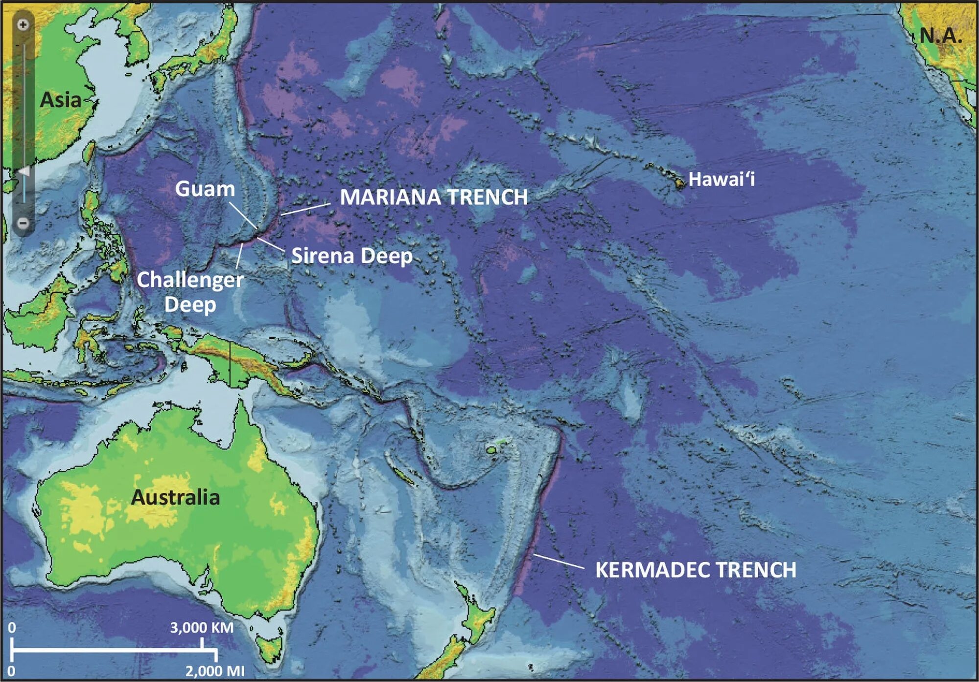 Количество тихого океана. Тихий океан Марианский желоб. Марианская впадина на карте. Марианский жёлоб Океанические впадины. Марианская впадина на каре.