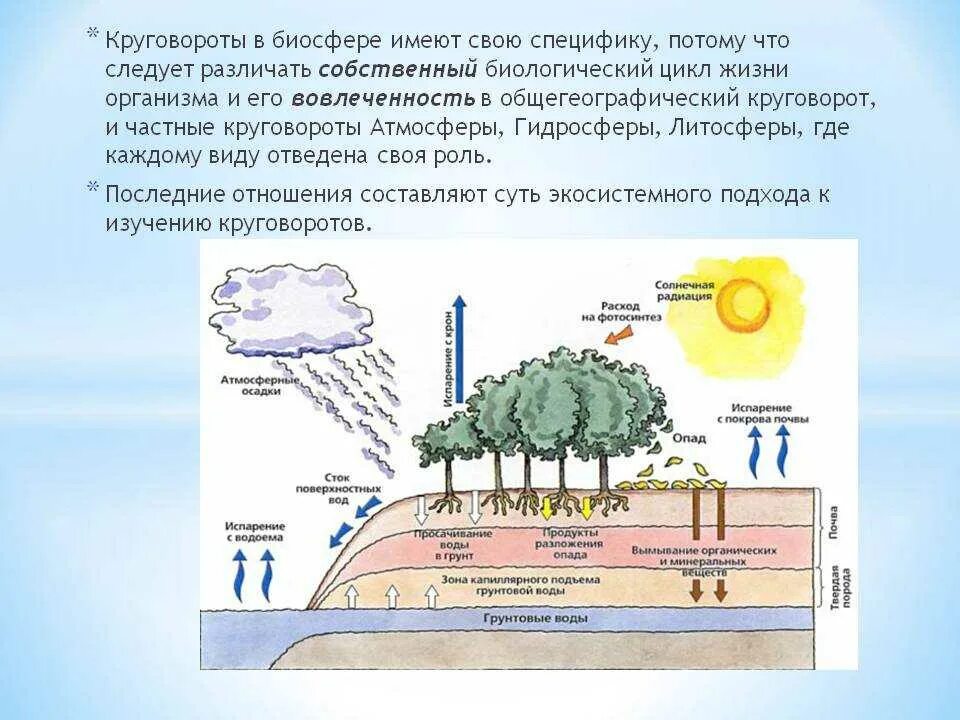 Биосфера круговорот веществ в биосфере. Круговороты основных элементов в биосфере. Биологический круговорот веществ в биосфере схема. Биологический круговорот в биосфере 6 класс. Круговорот благих намерений