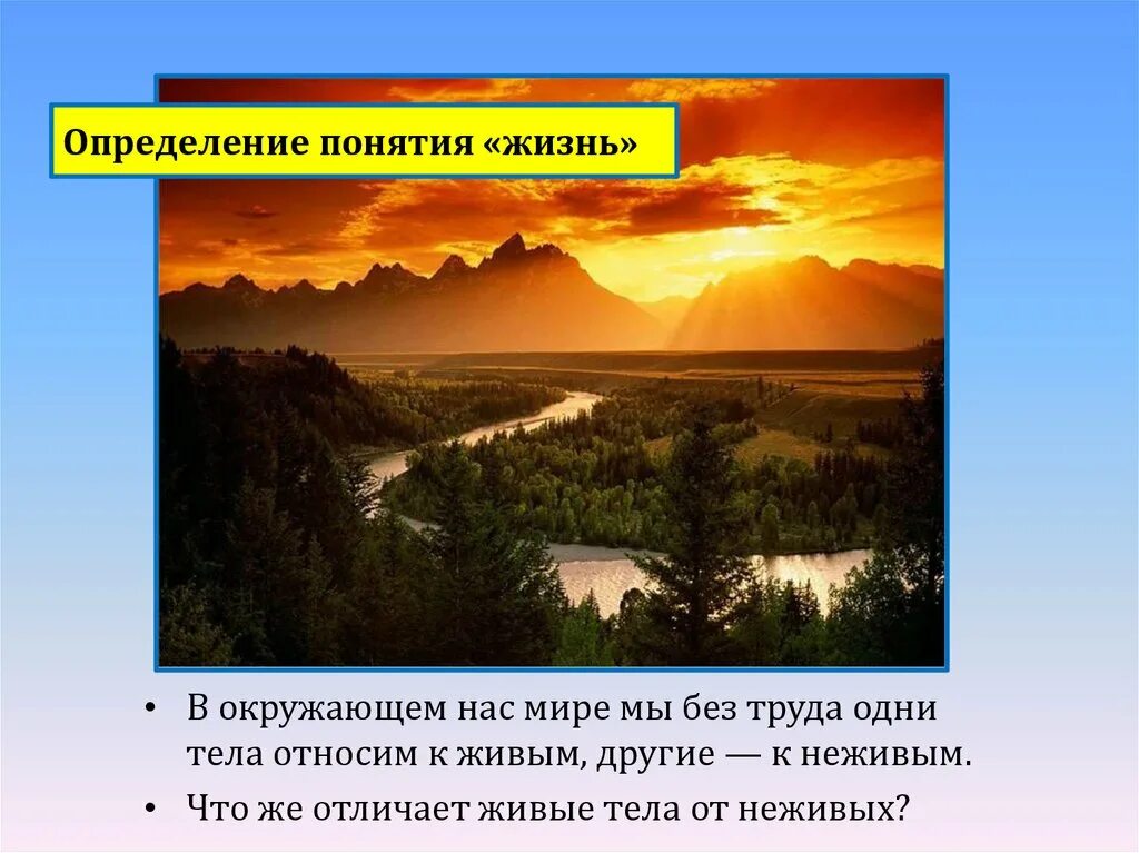 Понятие жизнь. Современное определение понятия жизнь. Определение жизни. Дайте определение понятия жизнь.