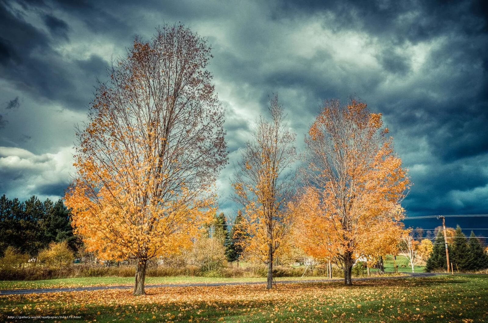 Какая погода в дерево. Деревья в октябре. Осенний пейзаж с небом. Осенняя погода. Климат осень.