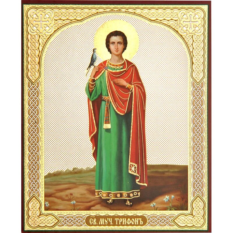Икона Святого великомученика Трифона. Икона Святого мученика Трифона Апамейского.