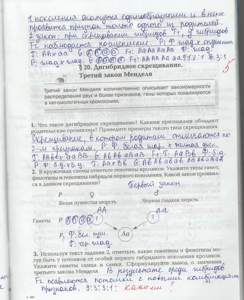 Биология 9 класс данилова. Гдз по биологии 9 класс рабочая тетрадь Новикова Данилов. Рабочая тетрадь по биологии 9 класс Данилов гдз. Рабочая тетрадь по биологии 9 класс Новикова Данилов. Биология 9 класс рабочая тетрадь Новикова Данилов гдз.