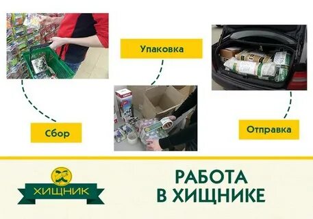 График работы магазина хищник