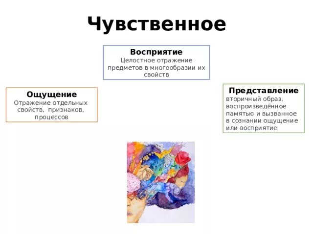 Представление это чувственное отражение. Целостное отражение предметов в многообразии их свойств. Чувственное отражение предметов. Целостное отражение. Чувственное восприятие.