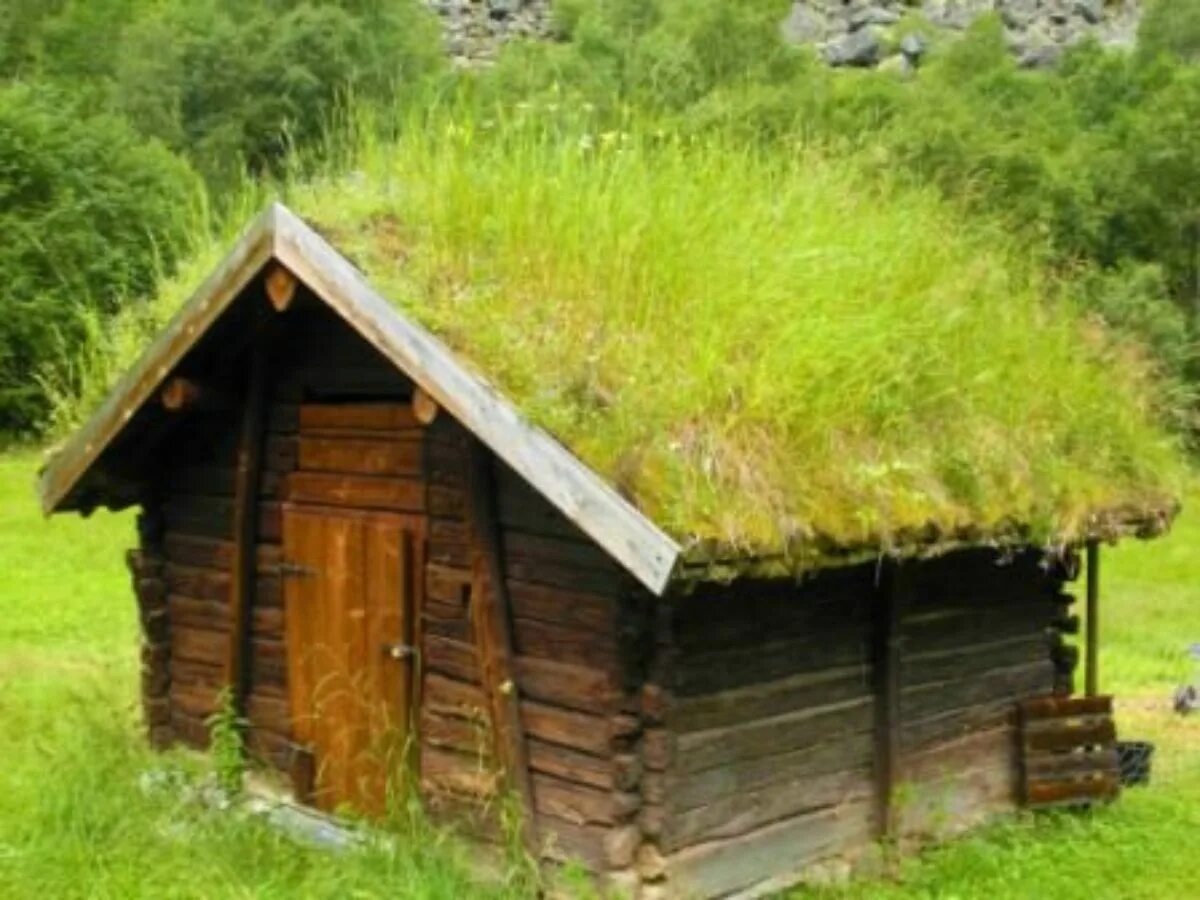Земляная крыша. Травяная крыша. Кровля из дерна. Крыша из дерна. Крыша из травы.